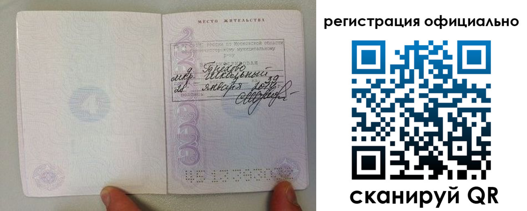 прописка для кредита в Светлогорске