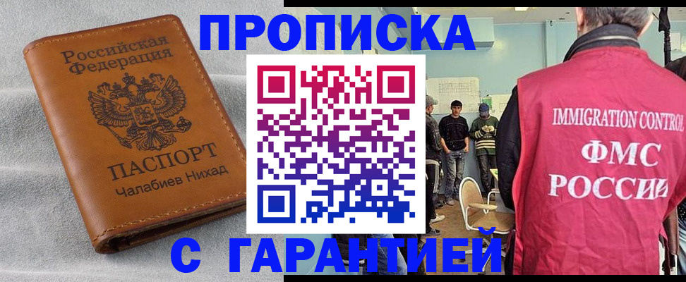 прописка в Светлогорске